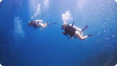 Diving